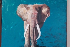 Eléphant