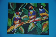 Oiseaux (2)